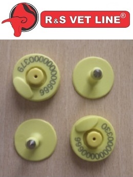 Aretes Electrónicos HDX