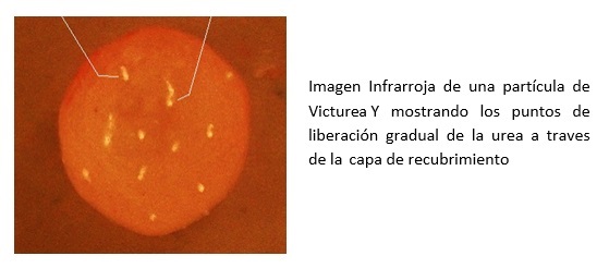Victurea Y 