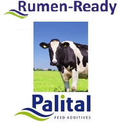 Rumen Ready 